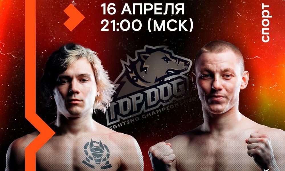 Top Dog 16 апреля: где смотреть и что будет интересного